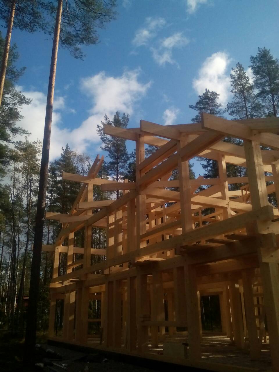 Репино парк 450 м2 - Процесс 9