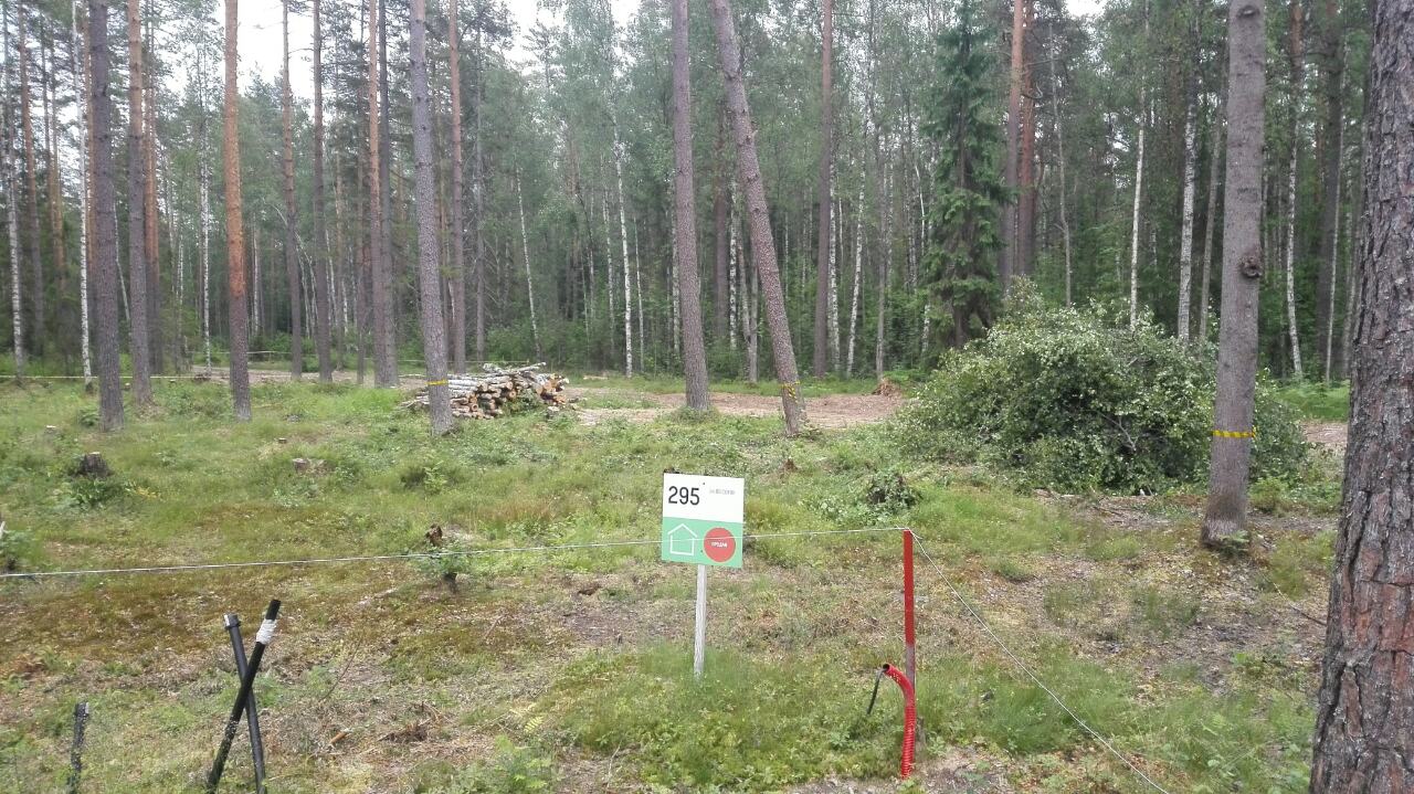 Репино парк 450 м2 - Процесс 16