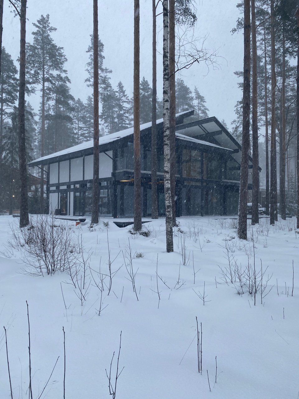Репино Парк Фахверк-бабочка - Финал 3