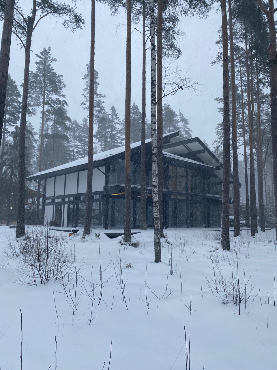 Репино Парк Фахверк-бабочка - Финал 4