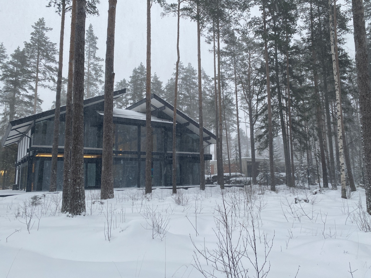 Репино Парк Фахверк-бабочка - Финал 24