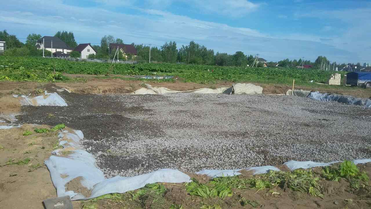 Морковка - Процесс 8