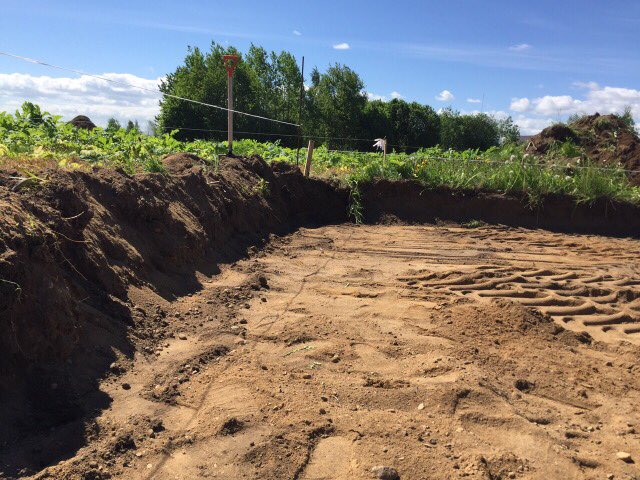 Морковка - Процесс 118