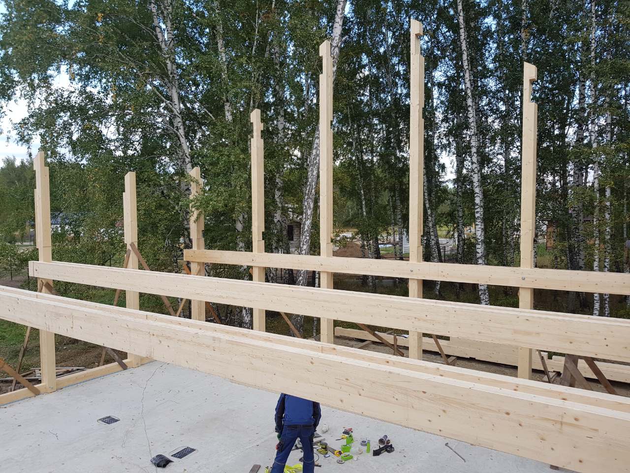 Новосиб 1 - Процесс 16